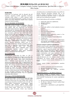 icra özet 8.pdf